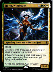 Storm, Windrider