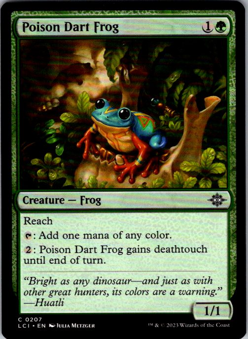 Poison Dart Frog